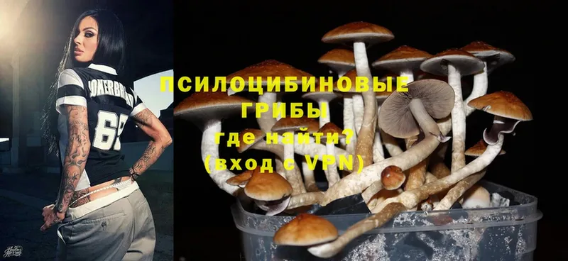 Галлюциногенные грибы Magic Shrooms  Полевской 